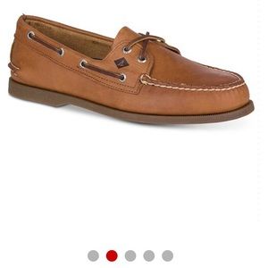 Men’s size 9 Sahara Sperry  shoes